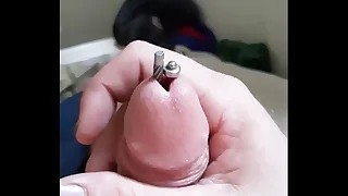 Penis